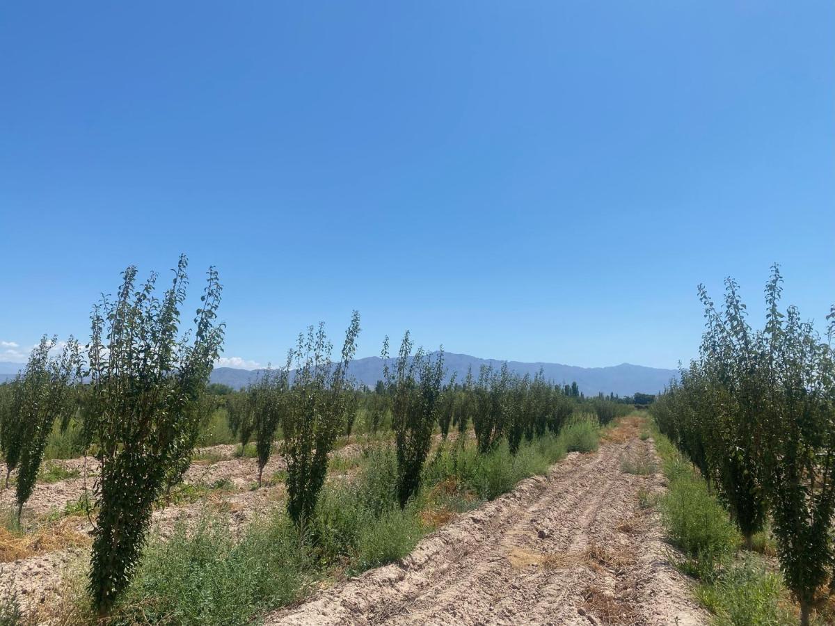 El Rincon Del Nene Albardón Exterior foto
